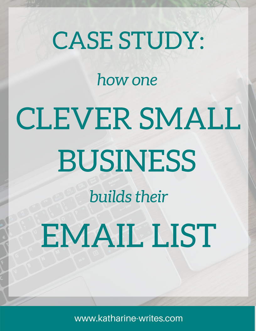 This smart small business took six important steps to build their email list, and it worked. Read on to find out what they are!